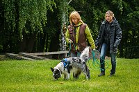 Bild: Mantrailing-Seminar auf dem Sondersh&auml;user Hundeplatz