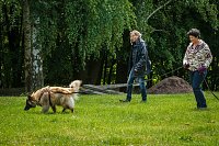 Bild: Mantrailing-Seminar auf dem Sondersh&auml;user Hundeplatz