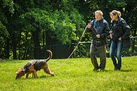 Bild: Mantrailing-Seminar auf dem Sondersh&auml;user Hundeplatz