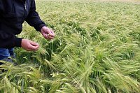 Landwirte auf Flurfahrt Bild: Landwirte auf Flurfahrt