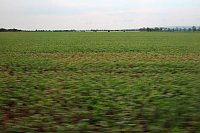 Landwirte auf Flurfahrt Bild: Landwirte auf Flurfahrt