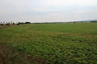 Landwirte auf Flurfahrt Bild: Landwirte auf Flurfahrt