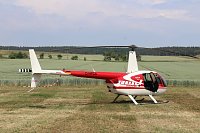 Laubkönig gekrönt Bild: Laubkönig gekrönt