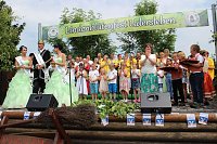 Laubkönig gekrönt Bild: Laubkönig gekrönt