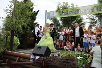 Laubkönig gekrönt Bild: Laubkönig gekrönt