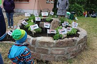 Bild: Spiralbeet zum Aktionstag bepflanzt