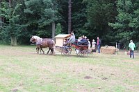Bild: Fest zu 250 Jahre Park Bendeleben