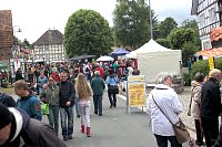 Bild: 25. Kunstmarkt in Friedrichsrode