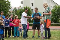 2. Spiel- und Sportfest in der Borntalarena Bild: 2. Spiel- und Sportfest in der Borntalarena