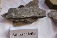 Das Kyffhäuserland bevor der Mensch da war Bild: Das Kyffhäuserland bevor der Mensch da war
