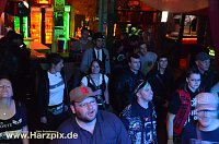 Bild: BOXHAMSTERS & DER REST LIVE