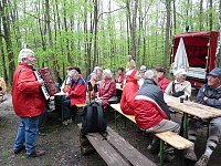 10. Blutbuchenfest Bild: 10. Blutbuchenfest