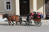 Bild: Buntes Familienfest