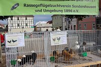 Bild: Buntes Familienfest