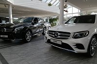 Die Neuen bei "Peter" Bild: Die Neuen bei "Peter"