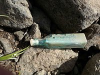 In der Elbe gefunden Bild: In der Elbe gefunden