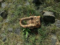 In der Elbe gefunden Bild: In der Elbe gefunden