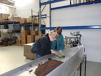 Bild: Gilrsday in Berka