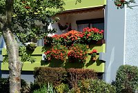 Stadt Frankenhausen sagt Danke Bild: Stadt Frankenhausen sagt Danke
