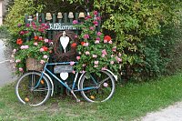 Stadt Frankenhausen sagt Danke Bild: Stadt Frankenhausen sagt Danke