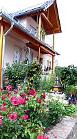 Stadt Frankenhausen sagt Danke Bild: Stadt Frankenhausen sagt Danke