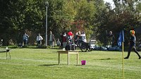 Bild: 16. Mops-Rennen in Hachelbich