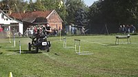 Bild: 16. Mops-Rennen in Hachelbich