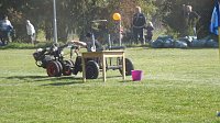 Bild: 16. Mops-Rennen in Hachelbich