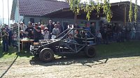 Bild: 16. Mops-Rennen in Hachelbich