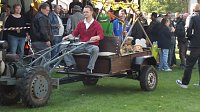 Bild: 16. Mops-Rennen in Hachelbich