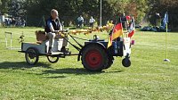 Bild: 16. Mops-Rennen in Hachelbich