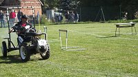 Bild: 16. Mops-Rennen in Hachelbich