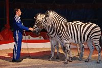 Circus Rolina gastiert in Nordhausen Bild: Circus Rolina gastiert in Nordhausen