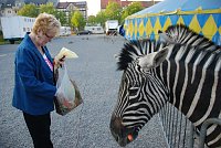 Circus Rolina gastiert in Nordhausen Bild: Circus Rolina gastiert in Nordhausen