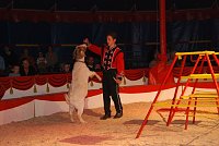 Circus Rolina gastiert in Nordhausen Bild: Circus Rolina gastiert in Nordhausen