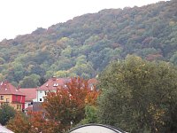 Bunt sind schon die Wälder, … Bild: Bunt sind schon die Wälder, …