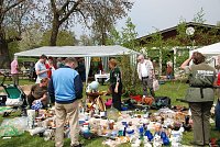 Bild: Tierheimfest  in Nordhausen