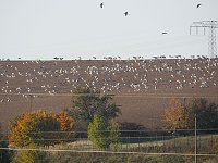 Die Flugschau ist eröffnet Bild: Die Flugschau ist eröffnet