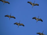 Die Flugschau ist eröffnet Bild: Die Flugschau ist eröffnet