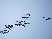 Die Flugschau ist eröffnet Bild: Die Flugschau ist eröffnet