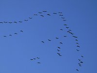 Die Flugschau ist eröffnet Bild: Die Flugschau ist eröffnet