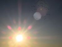 Die Flugschau ist eröffnet Bild: Die Flugschau ist eröffnet