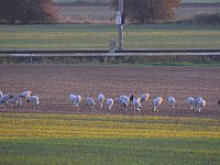 Die Flugschau ist eröffnet Bild: Die Flugschau ist eröffnet