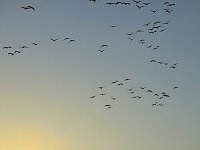 Die Flugschau ist eröffnet Bild: Die Flugschau ist eröffnet