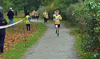 Impressionen vom 22. Stadtparklauf Sondershausen Bild: Impressionen vom 22. Stadtparklauf Sondershausen