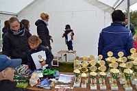 Impressionen vom 22. Stadtparklauf Sondershausen Bild: Impressionen vom 22. Stadtparklauf Sondershausen