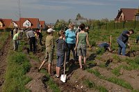 Tag des Waldes in Bad Frankenhausen Bild: Tag des Waldes in Bad Frankenhausen