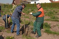 Tag des Waldes in Bad Frankenhausen Bild: Tag des Waldes in Bad Frankenhausen