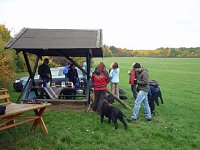 Herbstwanderung der Hundeschule ABC Bild: Herbstwanderung der Hundeschule ABC