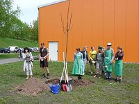 Bild: Wohngebietsfest Hasenholz